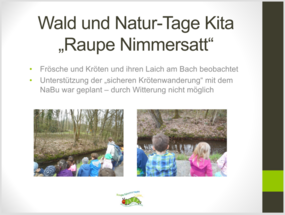 Wald und Naturtag Raupe Nimmersatt