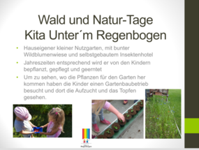 Wald und Naturtag Unter'm Regenbogen