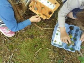 Die Kinder füllen ihr Waldbingo