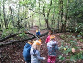 Die Kinder streifen als Füchse durch den Wald