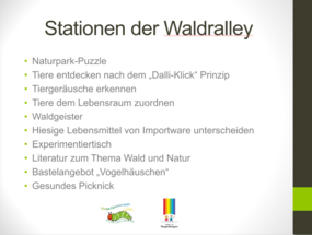 Stationen der Waldralley