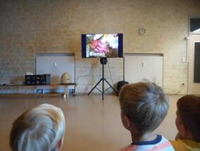 Die Kinder sehen einen Film über den Bienenstock