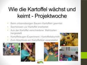 Projekt Kartoffel