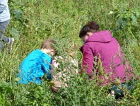 Eine Familie erntet einen Kürbis