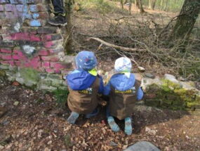 Zwei Kinder beobachten Ameisen