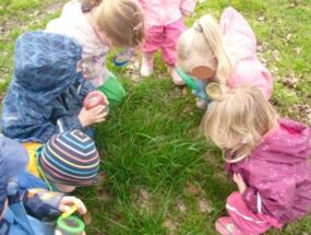Die Kinder benutzen Lupen, um Insekten zu finden